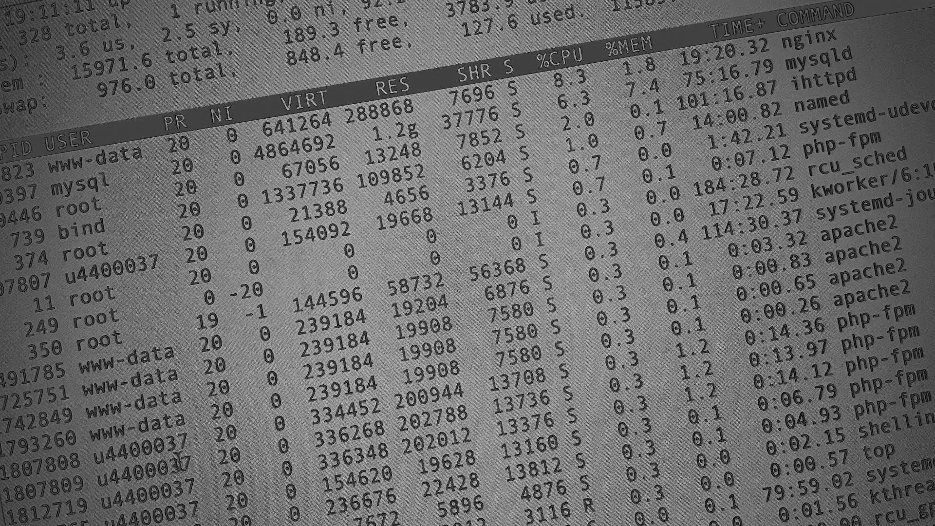 Настройка сервера в Фурманове Настройка сервера в Фурманове