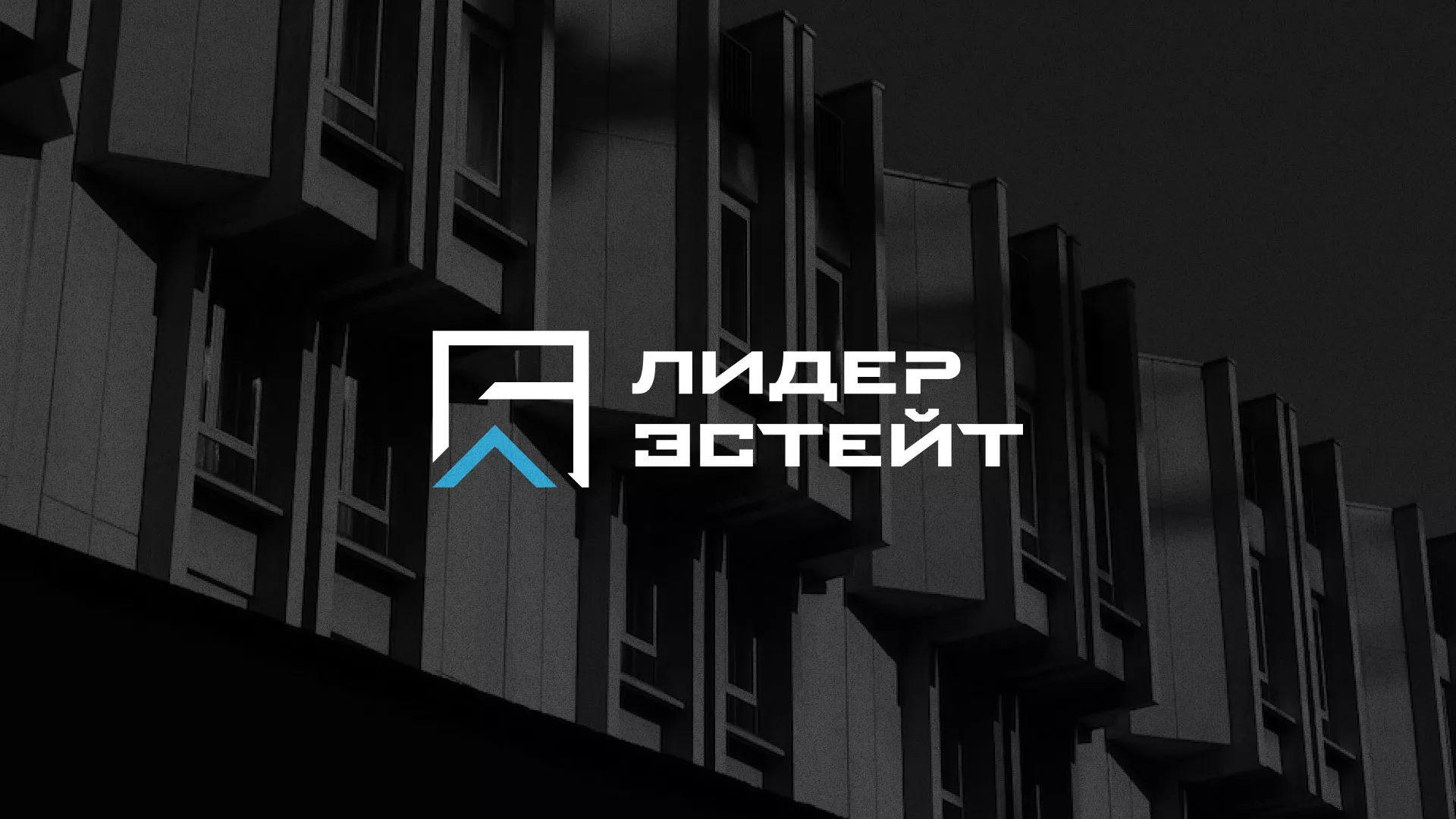 Разработка логотипа агентства недвижимости «Лидер Эстейт» в Фурманове